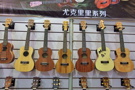 Wei-le-Guitar_005